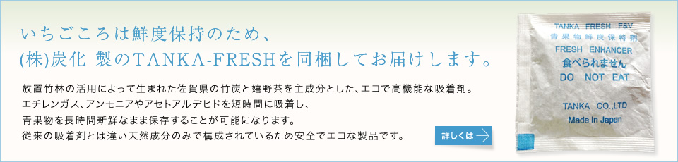 タンカフレッシュについて